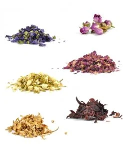 Te Tonic Flowers Botanique, 6 Fleurs Différentes Pour Parfumer Votre Gin Et Tonic -Cuisine Fournitures Magasin 1024x1200 11