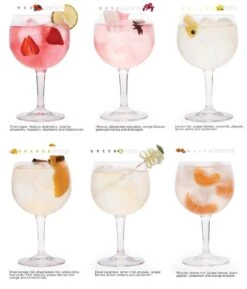 Te Tonic Luxury Horeca Box 72 Infusions Pour Cocktails Gin Et Tonic -Cuisine Fournitures Magasin 1024x1200 27