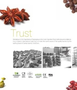 7 Extraits De Plantes De Té Tonic, Pour Vos Cocktails Gin & Tonic. Idéal Comme Cadeau Pour Tout Amateur De Gin -Cuisine Fournitures Magasin 1024x1200 7