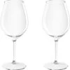 2x Verres à Vin à Vin Witte Ou Rouge 51 Cl / 510 Ml De Plastique Transparent Incassable / Réutilisable - Verres à Vin Amateurs De Vin - Boire Du Vin