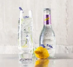 My GIN Botanicals - Cadeau Pour Gin Tonique Classique à Base De Plantes -Cuisine Fournitures Magasin 1200x1099 1