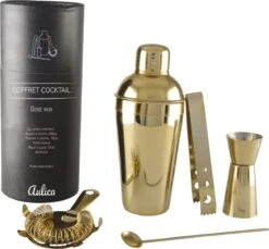Cocktail Shaker Set - Cocktail Set Or - 5 Pièces - Coffret Cadeau De Luxe