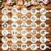 BOTC Cappuccino Template - 30 Tools Barista Réutilisables/ Fleurs - Tools DIY Stencil Cookie Barista Pour Chocolat Hot /Cupcake/ Cappuccino Décoration - 9.7x7CM)