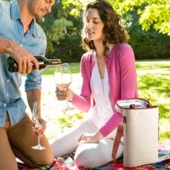 Intirilife Refroidisseur à Vin Sac De Transport Pour Vin, Champagne, Boissons - Refroidisseur De Bouteille Pour Voyages, Pique-nique, Sortie, Isolé -Cuisine Fournitures Magasin 1200x1200 1642