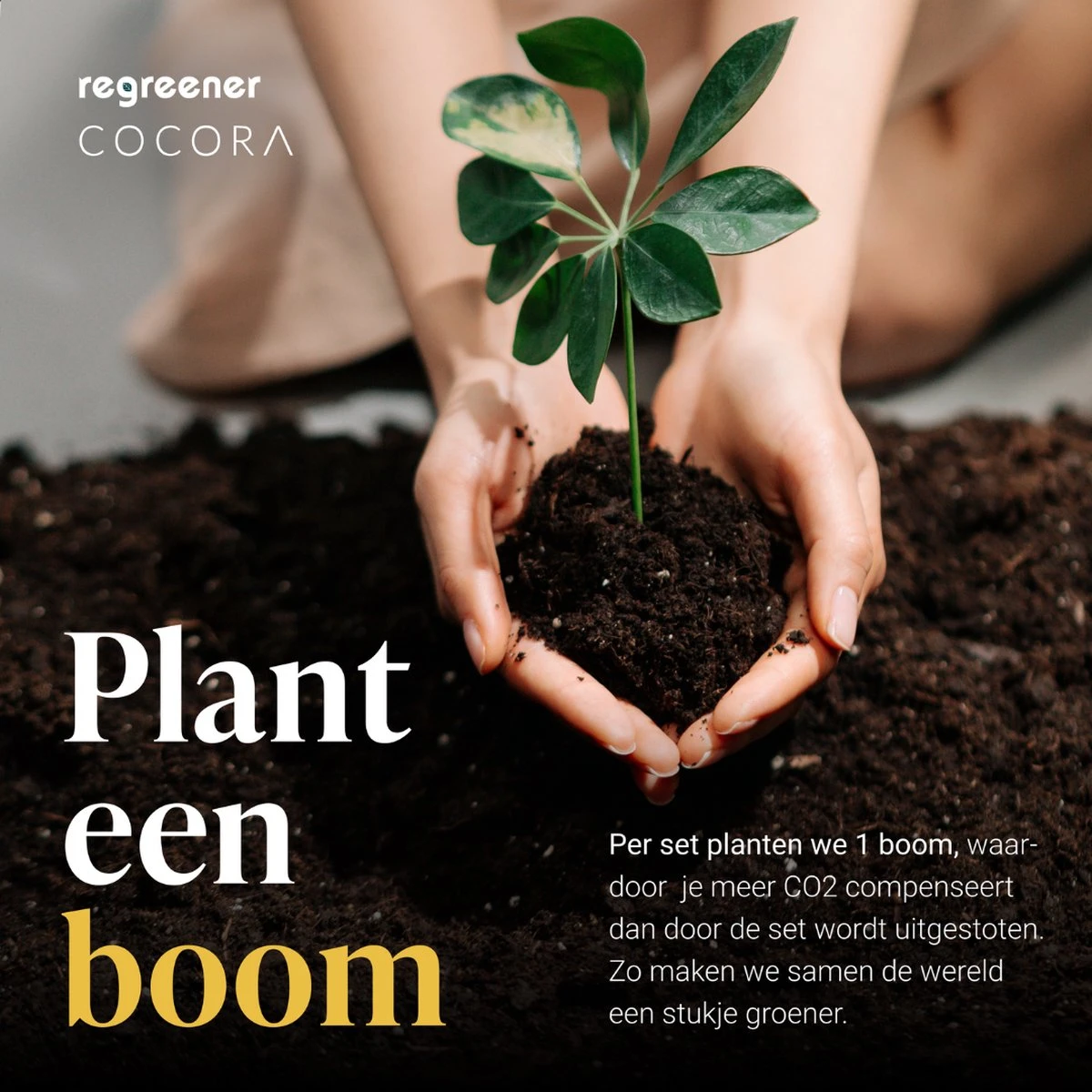 Cocora Martini Set - 8 Pièces Cocktail Set - Or Rose - 2 Coupe Verres - Cocktail Shaker - Martini Guide 7 Cocora Martini Set - 8 Pièces Cocktail Set - Or Rose - 2 Coupe Verres - Cocktail Shaker - Martini Guide – Image 7