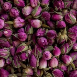 Support En Bois Avec 4 Plantes De Gin. Cadeau Idéal Pour Tout Amateur De Gin. -Cuisine Fournitures Magasin 1200x1200 2046