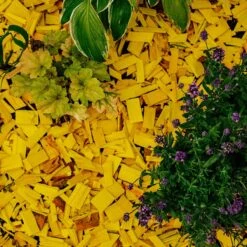 Holtaz - Écorce Décorative - Copeaux De Bois Décoratifs - Écorce Deco - Décoration Dune - 50 Litres - Jaune -Cuisine Fournitures Magasin 1200x1200 2899