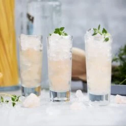 Vodka Verres Verres à Liqueur Stamper Shooter Verres Verres à Liqueur Glas Pour Genièvre Tequila Gin Vodka Shot Glas à Liqueur | Va Au Lave-vaisselle | Collecte De Pierres | 60 Ml | Série De 12 11 Vodka Verres Verres à Liqueur Stamper Shooter Verres Verres à Liqueur Glas Pour Genièvre Tequila Gin Vodka Shot Glas à Liqueur | Va Au Lave-vaisselle | Collecte De Pierres | 60 Ml | Série De 12 -Cuisine Fournitures Magasin 1200x1200 3016