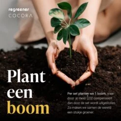 Cocora Cocktail Set - Accessoires De Vêtements Pour Bébé De Bar - Cuillère De Bar - Jigger / Bar Buddy - 2 Pailles - 2 Bâtons De Cocktail - Acier Inoxydable De Haute Qualité - Durable -Cuisine Fournitures Magasin 1200x1200 3106