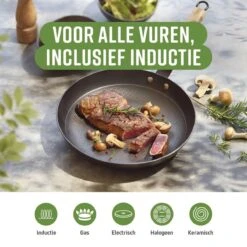 Qulinart | Poêle En Fonte Nid D'abeille | Pour Tous Les Incendies | Revêtement Antiadhésif | Extra Léger | D'économie D'énergie | Set De Ø 20 - 24 & 28 Cm -Cuisine Fournitures Magasin 1200x1200 356