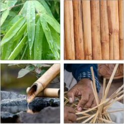 Boîte à Thé Relaxdays 5 Compartiments - Coffre à Thé - Support Pour Sachets De Thé - Bambou - Pour Env.10 Sachets De Thé -Cuisine Fournitures Magasin 1200x1200 856