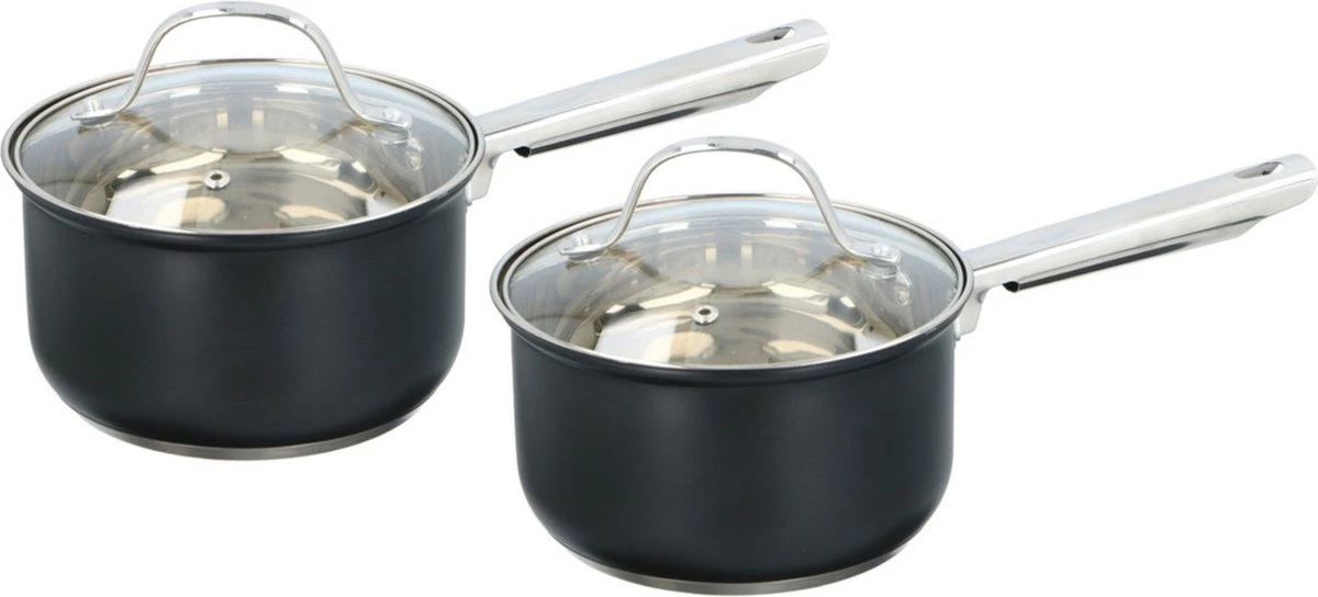 Alpina Set De 2 Casseroles Avec Couvercle Transparent - 1,5 Litre - Inox - 9,5 X 16 X 32 Cm - Toutes Sources De Chaleur 1 Alpina Set De 2 Casseroles Avec Couvercle Transparent - 1,5 Litre - Inox - 9,5 X 16 X 32 Cm - Toutes Sources De Chaleur