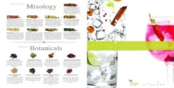 Partybox Te Tonic 24 Infusions Et 8 Plantes Pour Préparer Des Cocktails à Base De Gin Et Tonic. Les Herbes Sont Spécialement Sélectionnées Pour Le Gin -Cuisine Fournitures Magasin 1200x606 3