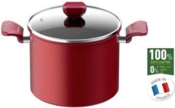 TEFAL G2737902 DAILY CHEF Mamite 20cm, Induction, Résistant, Antiadhésif, Facile à Nettoyer, Sain, Fabriqué En France