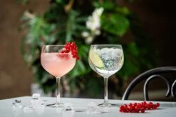 Libbey Joya à Cocktail Joya Gin Tonic - 650 Ml / 65 Cl - 6 Pièces - Passe Au Lave-vaisselle - Haute Qualité - Design Elegant - Perfect Pour Un Cocktail à La Maison 9 Libbey Joya à Cocktail Joya Gin Tonic - 650 Ml / 65 Cl - 6 Pièces - Passe Au Lave-vaisselle - Haute Qualité - Design Elegant - Perfect Pour Un Cocktail à La Maison -Cuisine Fournitures Magasin 1200x800 319