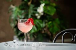 Libbey Joya à Cocktail Joya Gin Tonic - 650 Ml / 65 Cl - 6 Pièces - Passe Au Lave-vaisselle - Haute Qualité - Design Elegant - Perfect Pour Un Cocktail à La Maison 10 Libbey Joya à Cocktail Joya Gin Tonic - 650 Ml / 65 Cl - 6 Pièces - Passe Au Lave-vaisselle - Haute Qualité - Design Elegant - Perfect Pour Un Cocktail à La Maison -Cuisine Fournitures Magasin 1200x800 320