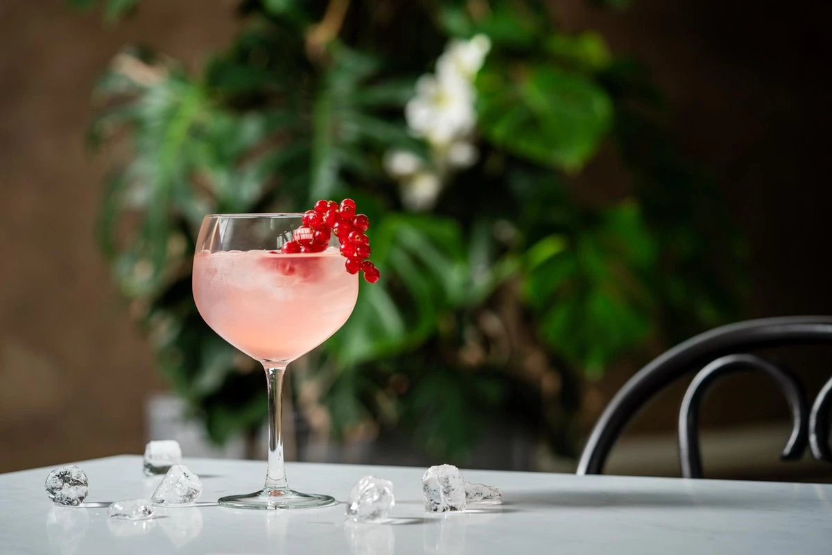 Libbey Joya à Cocktail Joya Gin Tonic - 650 Ml / 65 Cl - 6 Pièces - Passe Au Lave-vaisselle - Haute Qualité - Design Elegant - Perfect Pour Un Cocktail à La Maison 4 Libbey Joya à Cocktail Joya Gin Tonic - 650 Ml / 65 Cl - 6 Pièces - Passe Au Lave-vaisselle - Haute Qualité - Design Elegant - Perfect Pour Un Cocktail à La Maison – Image 4