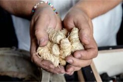 Boucles De Briquet En Laine De Bois Samba 400 Pièces, 5 Kg. Dans Un Carton Extérieur - Respectueux De L'environnement - Neutre En CO2 - FSC® 10 Boucles De Briquet En Laine De Bois Samba 400 Pièces, 5 Kg. Dans Un Carton Extérieur - Respectueux De L'environnement - Neutre En CO2 - FSC® -Cuisine Fournitures Magasin 1200x802 4