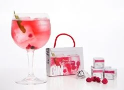 Te Tonic Infusions à La Fraise En Sachets Et Minipack à La Framboise -Cuisine Fournitures Magasin 1200x870 2