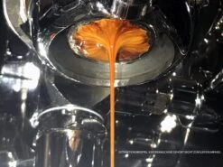 Expresso écarlate | Distributeur "Grande TRE" Pour Barista; Pour Une Extraction Parfaite Avec Des Machines De Sérigraphie; Des Tailles Différentes; à Toute épreuve. -Cuisine Fournitures Magasin 1200x900 99