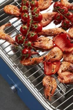 Barbecook Carlo - Barbecue Au Charbon De Bois - Barbecue De Table - Sac De Transport - Compact - Ventilateur - 38,5 X 28,5 Cm - 6 P. - Bleu -Cuisine Fournitures Magasin 799x1200 10