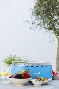 Barbecook Carlo - Barbecue Au Charbon De Bois - Barbecue De Table - Sac De Transport - Compact - Ventilateur - 38,5 X 28,5 Cm - 6 P. - Bleu -Cuisine Fournitures Magasin 799x1200 12