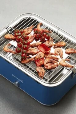 Barbecook Carlo - Barbecue Au Charbon De Bois - Barbecue De Table - Sac De Transport - Compact - Ventilateur - 38,5 X 28,5 Cm - 6 P. - Bleu -Cuisine Fournitures Magasin 799x1200 13