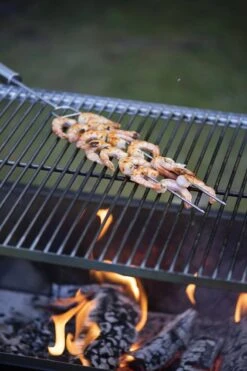 Barbecue D'extérieur Mustang Barbecue Patagonia Réglable En Hauteur - Zwart - Barbecue D'extérieur - Barbecue à Charbon - 39,8 Kg -Cuisine Fournitures Magasin 799x1200 14