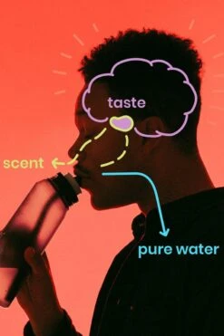 Air Up 3er Packket Pods - Saveur Pêche - Pour Aromatiser Water, 0 Sucre, 0 Calorie 21 Air Up 3er Packket Pods - Saveur Pêche - Pour Aromatiser Water, 0 Sucre, 0 Calorie -Cuisine Fournitures Magasin 800x1200 78