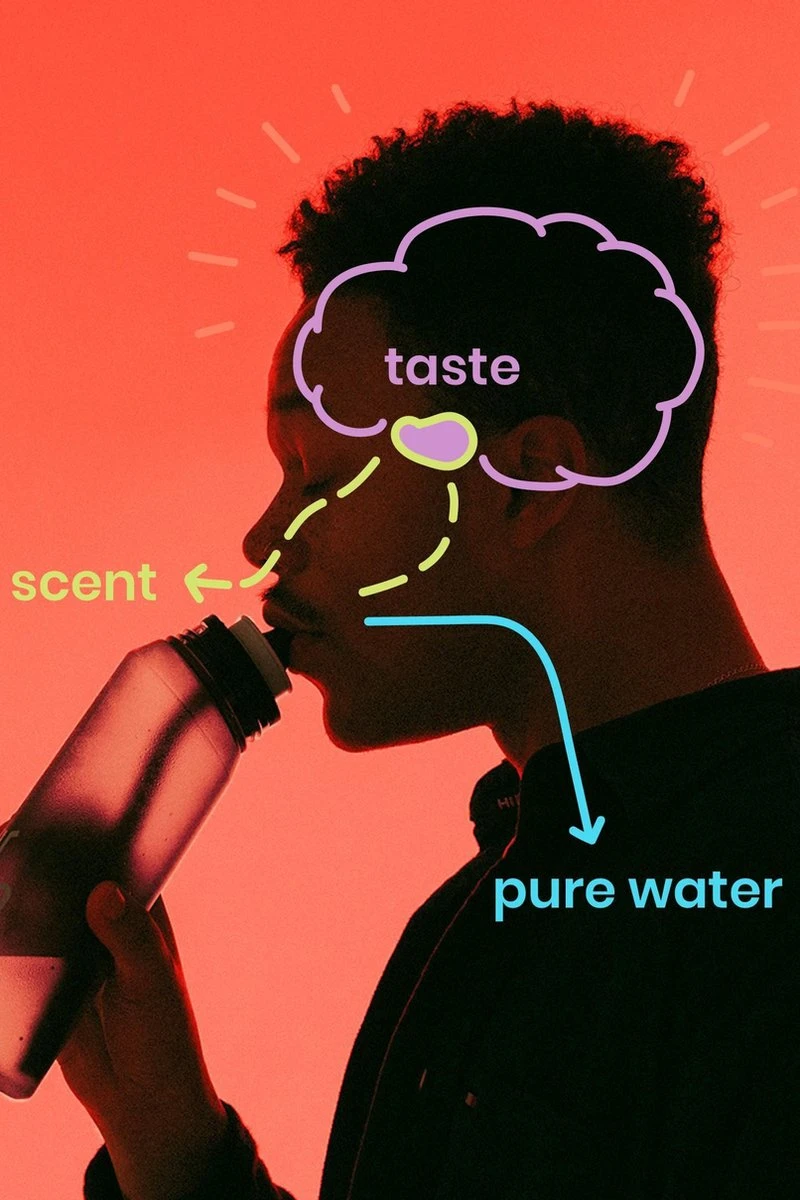 Air Up 3er Packket Pods - Saveur Pêche - Pour Aromatiser Water, 0 Sucre, 0 Calorie 11 Air Up 3er Packket Pods - Saveur Pêche - Pour Aromatiser Water, 0 Sucre, 0 Calorie – Image 11