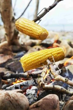 2 X Light-my-Fire FireFork Grill Fourche Fourche à Feu Brochette De Feu De Camp Gril De Grand-père Pince De Plaque Chauffante Fourchette à Plaque Chauffante -Cuisine Fournitures Magasin 800x1200 85