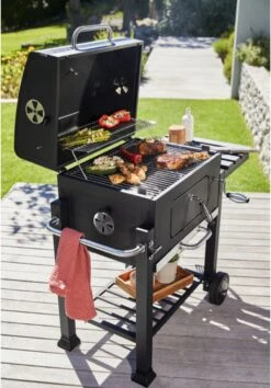 BBQ KING - Barbecue à Charbon De Bois - BBQ - GRILL - Avec Couvercle - Contrôle De La Température Avec 4 Positions De Ventilation - Grillage Indirect -Cuisine Fournitures Magasin 838x1200